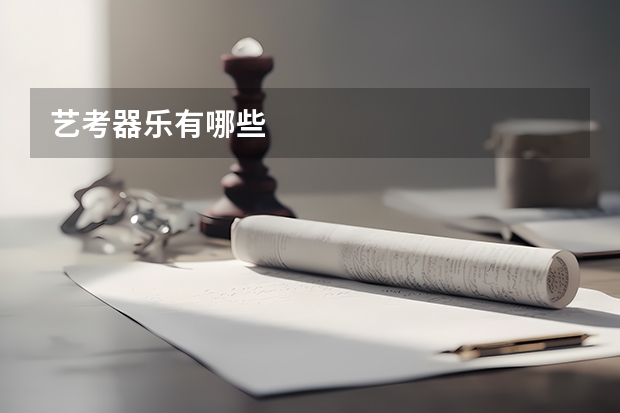 艺考器乐有哪些