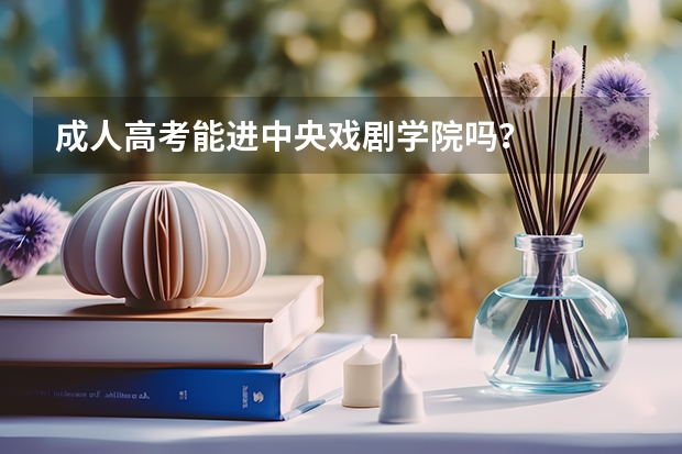 成人高考能进中央戏剧学院吗？