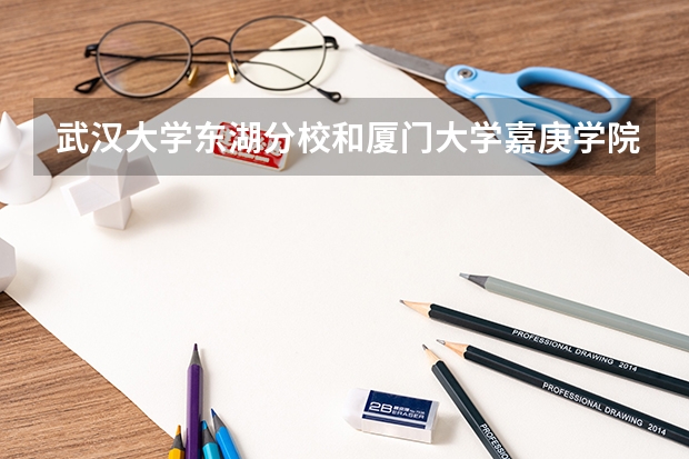 武汉大学东湖分校和厦门大学嘉庚学院哪个更好一些？