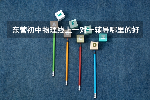 东营初中物理线上一对一辅导哪里的好？