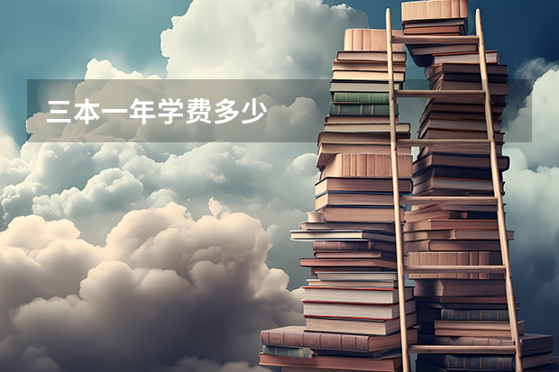 三本一年学费多少
