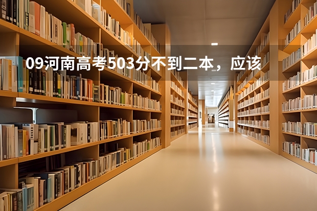 09河南高考503分不到二本，应该上三本还是二本院校的对外合作?两者有什么区别