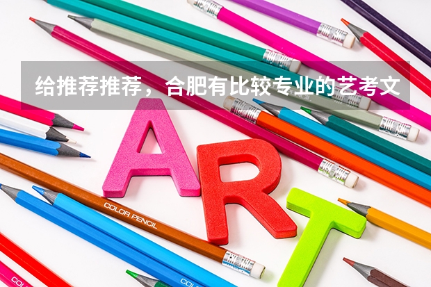 给推荐推荐，合肥有比较专业的艺考文化课学校吗？合肥学巷教育能去吗？ ?
