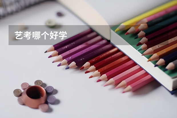 艺考哪个好学