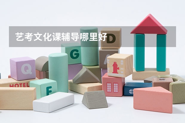 艺考文化课辅导哪里好