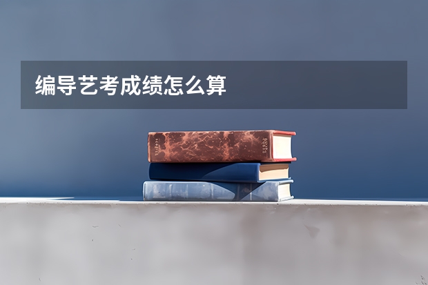 编导艺考成绩怎么算