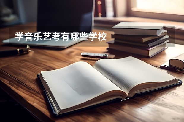 学音乐艺考有哪些学校
