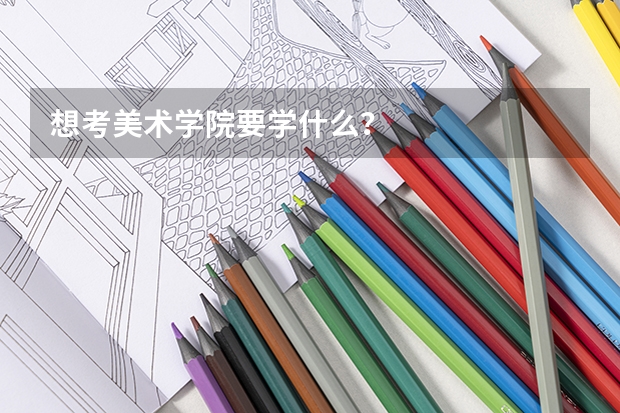 想考美术学院要学什么?