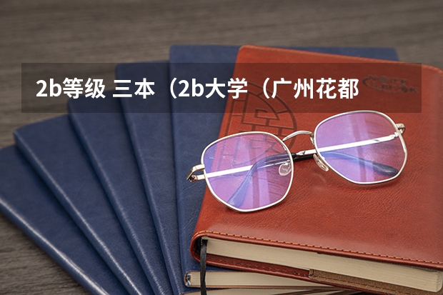 2b等级 三本（2b大学（广州花都2b大学））