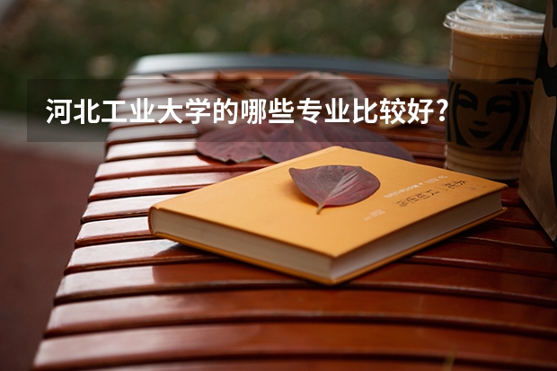 河北工业大学的哪些专业比较好?