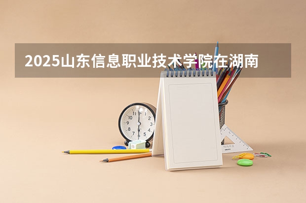 2025山东信息职业技术学院在湖南招生计划如何