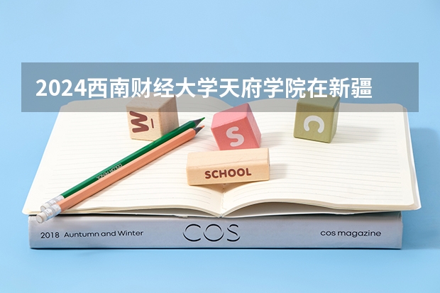 2024西南财经大学天府学院在新疆招生计划