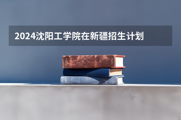 2024沈阳工学院在新疆招生计划