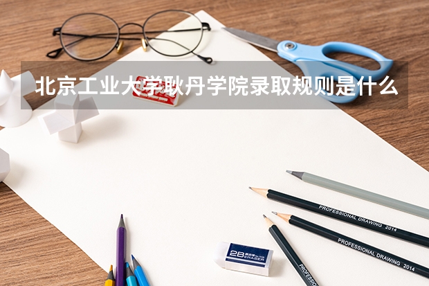 北京工业大学耿丹学院录取规则是什么