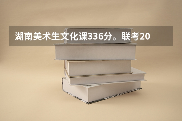 湖南美术生文化课336分。联考206分能上什么专业大学？