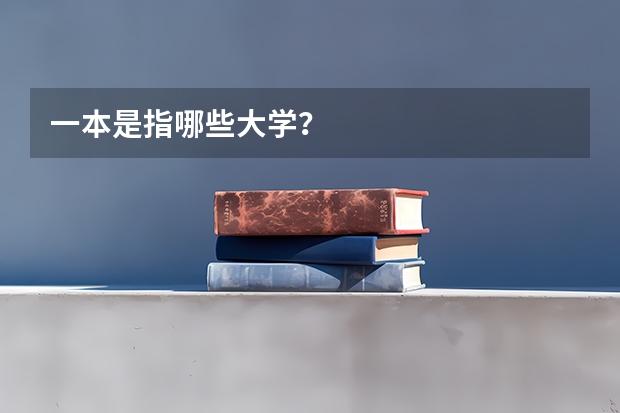 一本是指哪些大学？