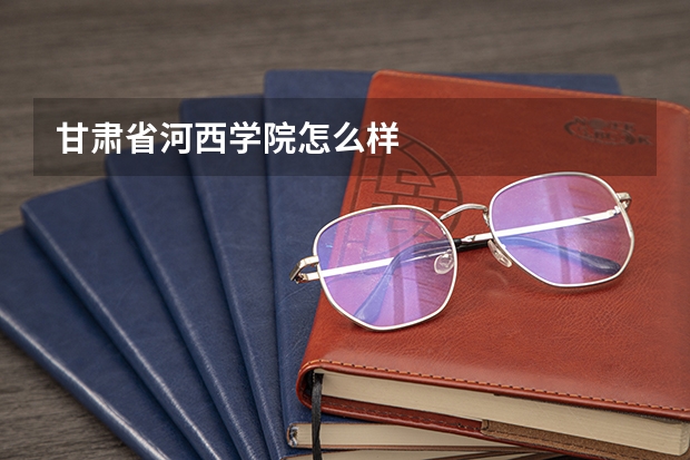 甘肃省河西学院怎么样