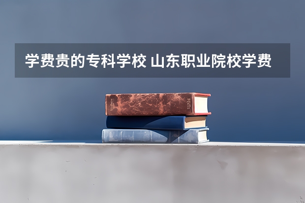 学费贵的专科学校 山东职业院校学费排名