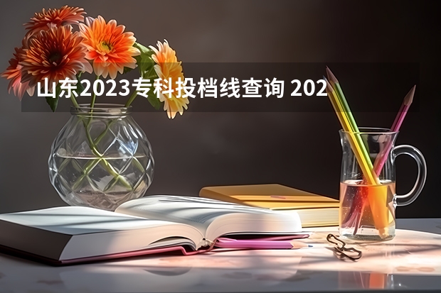 山东2023专科投档线查询 2023山东春考专科投档线