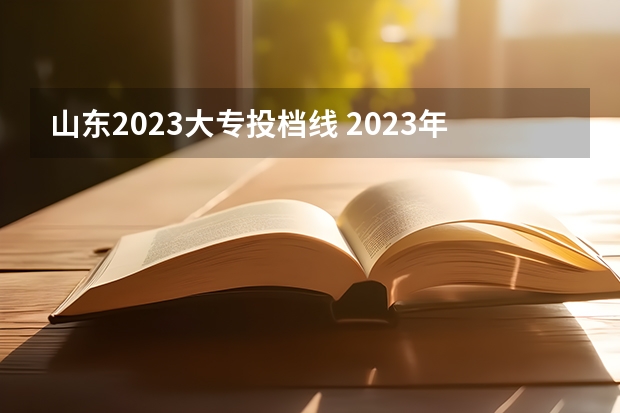 山东2023大专投档线 2023年山东高考专科分数线
