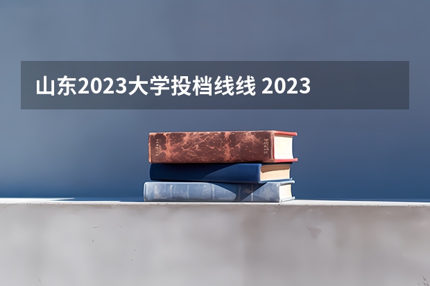 山东2023大学投档线线 2023年山东高考投档线是多少