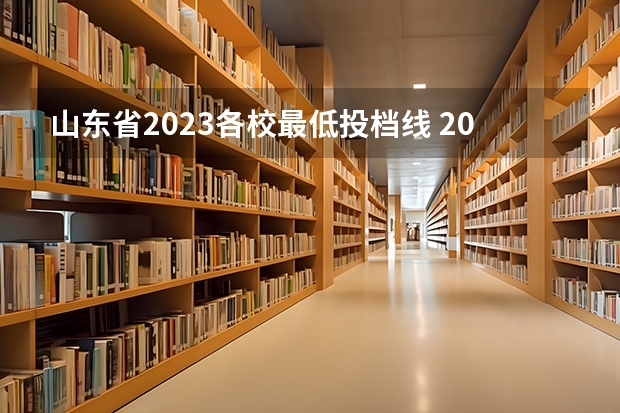 山东省2023各校最低投档线 2023山东高考大学投档线