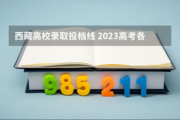 西藏高校录取投档线 2023高考各个学校的录取分数线
