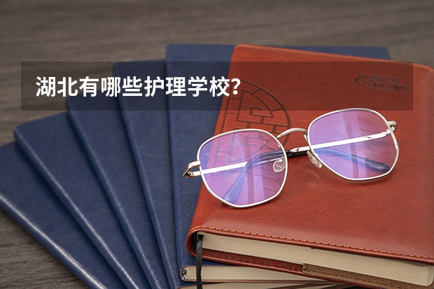 湖北有哪些护理学校？