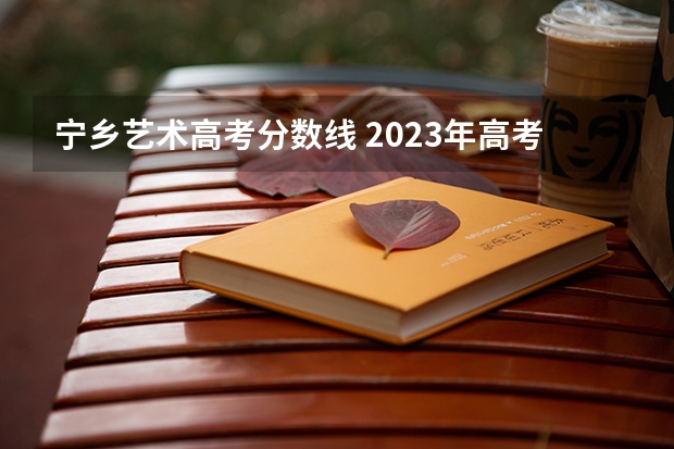 宁乡艺术高考分数线 2023年高考艺术文化课分数线