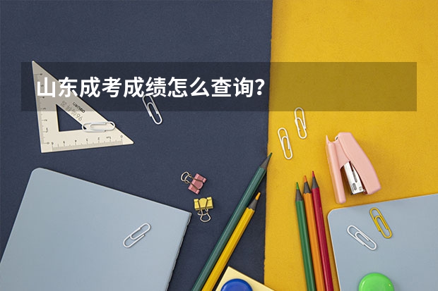 山东成考成绩怎么查询？