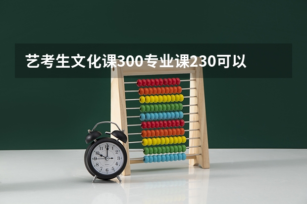 艺考生文化课300专业课230可以报什么大学？